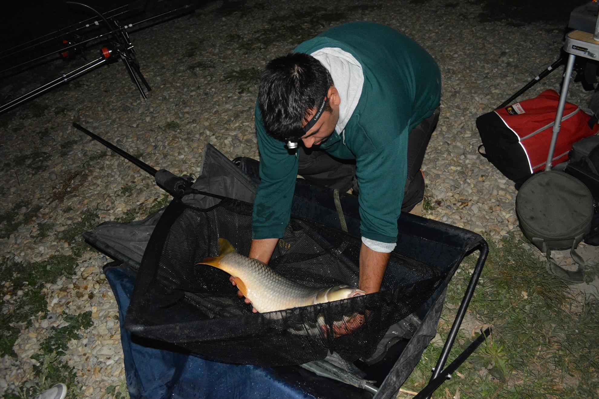 Hermes Peris 12 - 13 septembrie 2014 - 107030176115218622988141067231101o.jpg